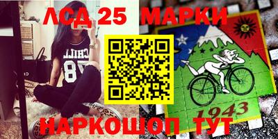 хмурый Жуковский