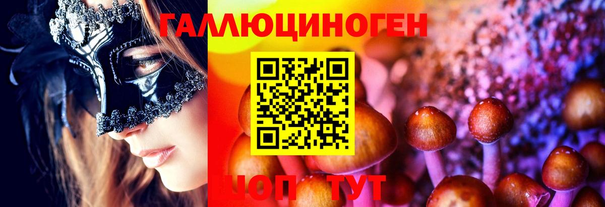 Псилоцибиновые грибы Cubensis  Псилоцибиновые грибы Psilocybine cubensis  Вход с VPN  Знаменск 