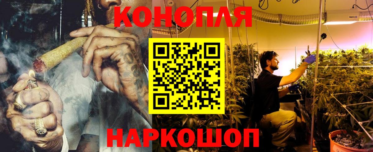 Бошки Шишки марихуана Знаменск